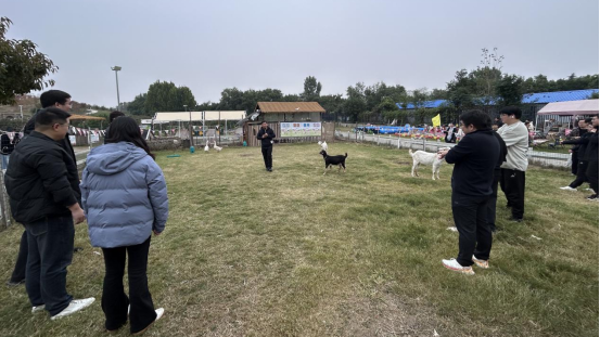 1763708279843065468.png image.png